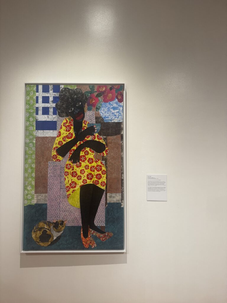 Driskell Center's newest exhibit aims to reshape the meaning of